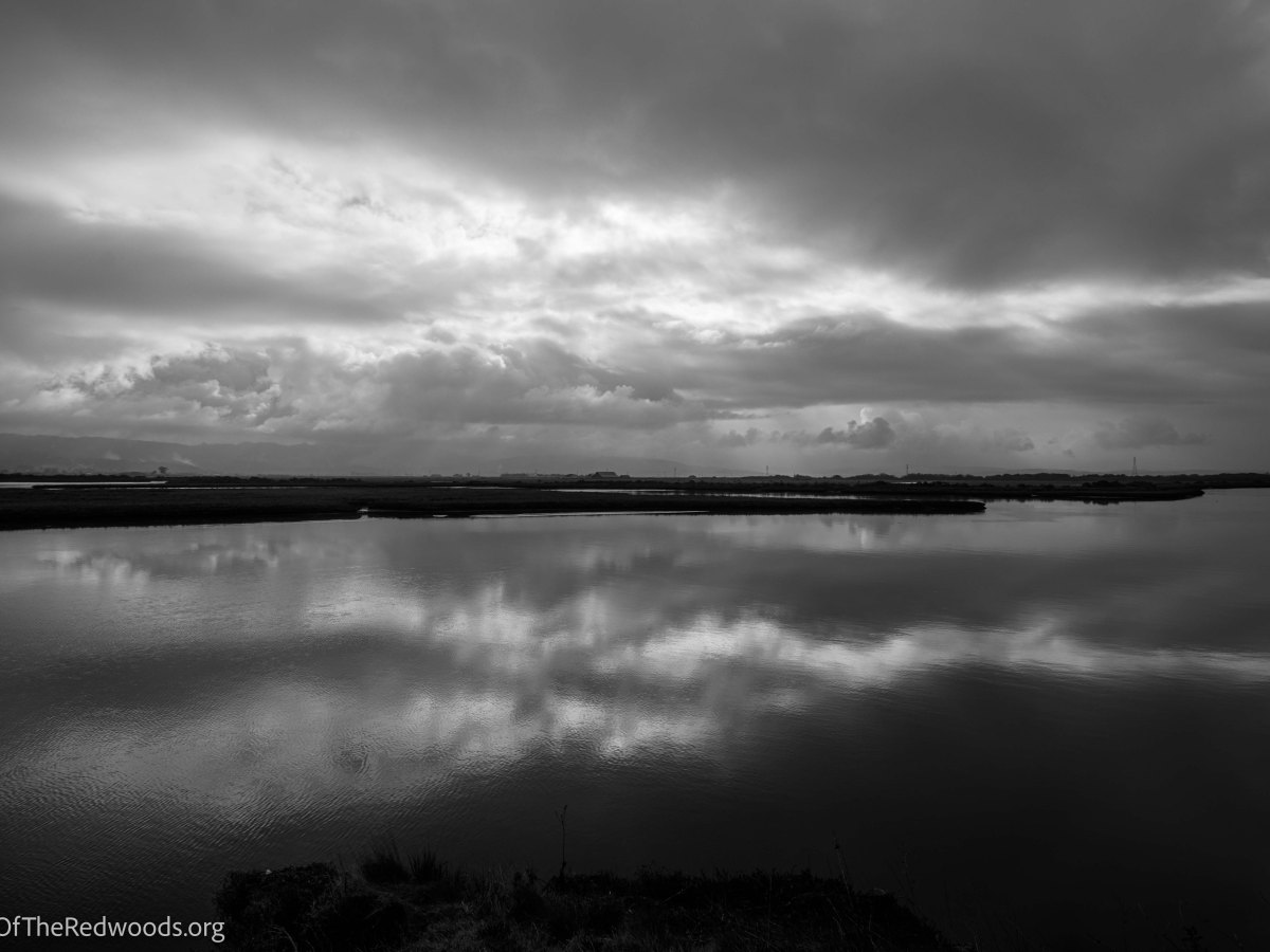 Embracing Love for our Experience: Loving Negative&nbsp;Emotions